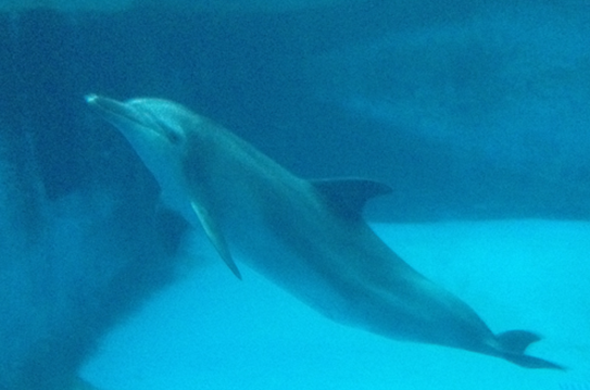 新奥官方网站浏览器