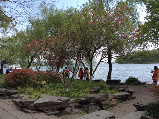 新奥官方网站浏览器