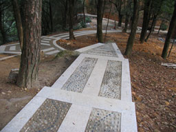 新奥官方网站浏览器