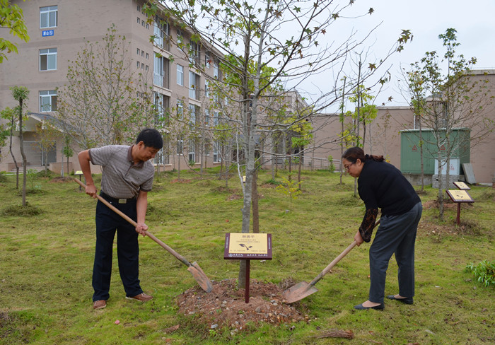 新奥官方网站浏览器