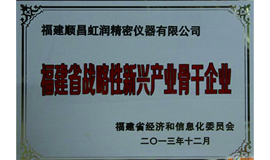 虹润跻身省级战略性新兴产业骨干企业