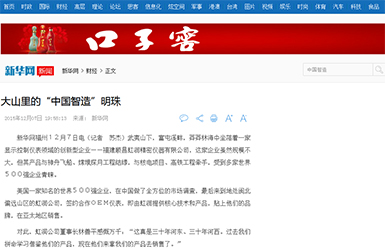 新华社新闻：大山里的“中国智造”明珠