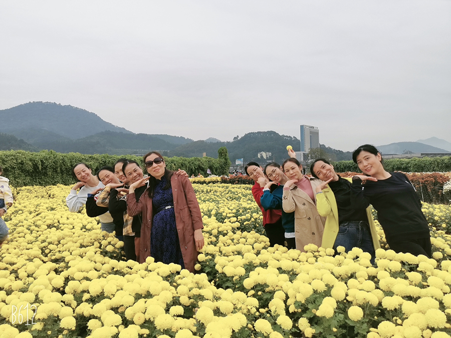 新奥官方网站浏览器