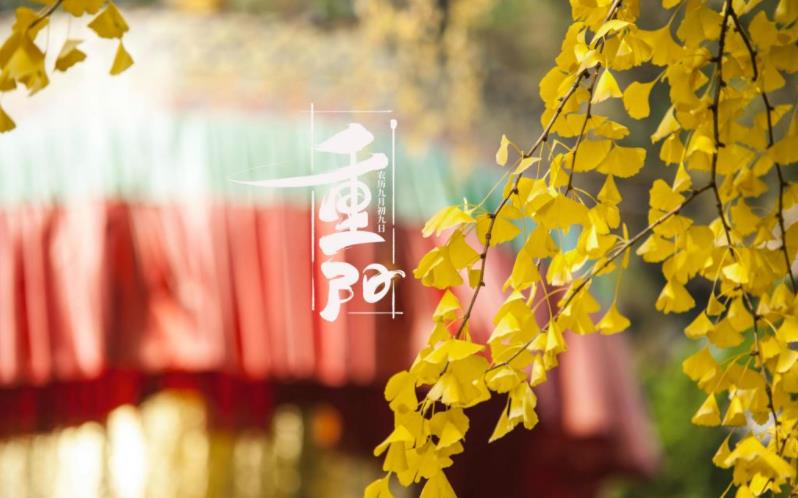 金秋送爽，心暖重阳。祝您重阳愉快，阖家欢乐，福寿安康！